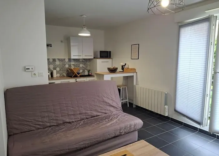 T1 Meuble Avec Piscine Commune